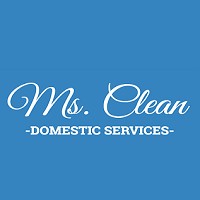 The Ms. Clean Store