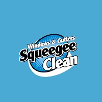The Squeegee Clean Store